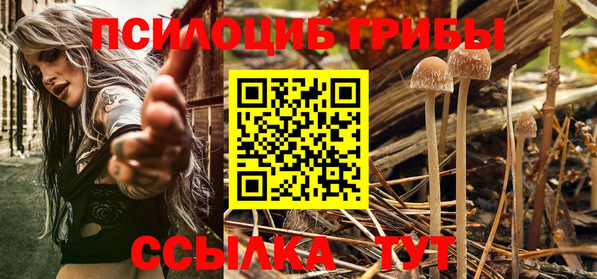 Псилоцибиновые грибы GOLDEN TEACHER  Вход с VPN  Гай  Псилоцибиновые грибы ЛСД 